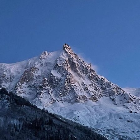 Апартаменты Champaign Powder Шамони Экстерьер фото